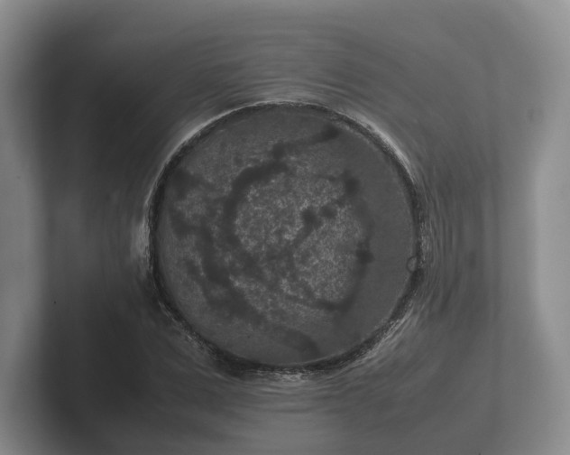 X0000102380975200808081134