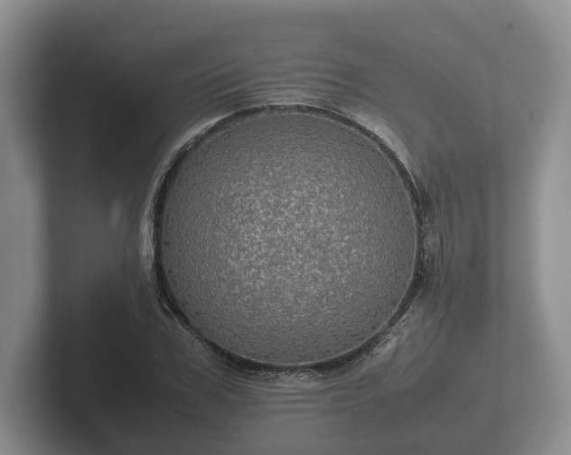 X0000102380979200808081134