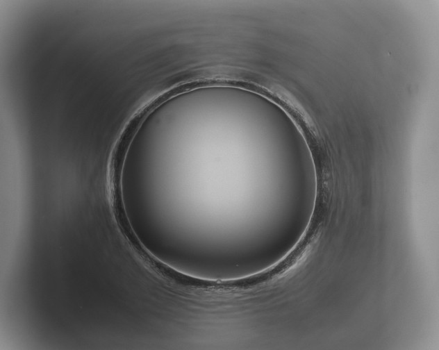 X0000102380981200808081134