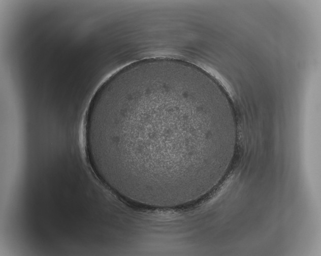 X0000102380983200808081134