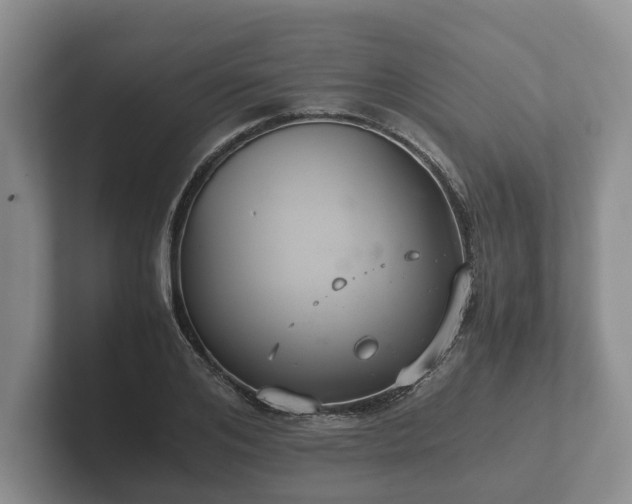 X0000102380984200808081134