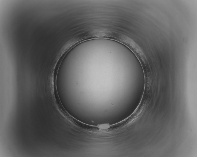 X0000102380986200808081134