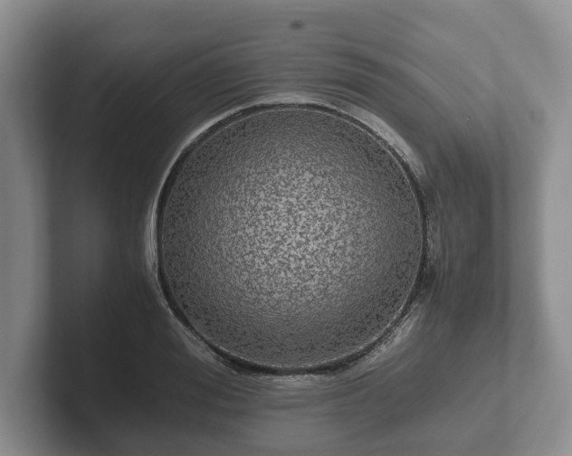 X0000102380988200808081134