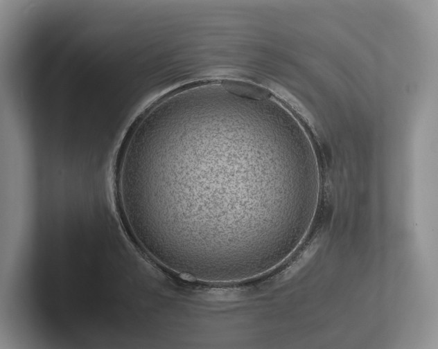X0000102380989200808081134