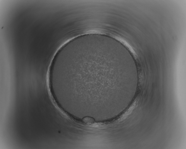 X0000102380991200808081134
