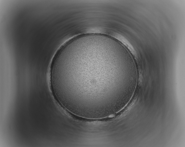X0000102380992200808081134