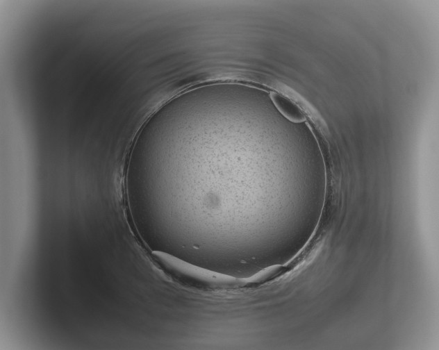 X0000102380993200808081134