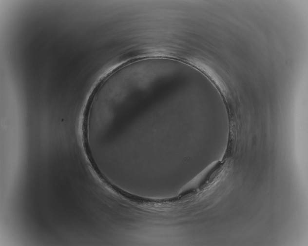 X0000102380995200808081134