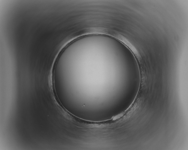 X0000102380996200808081134