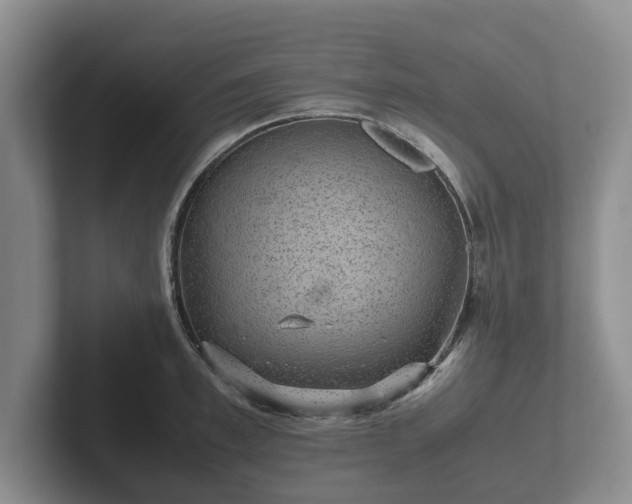X0000102380997200808081134