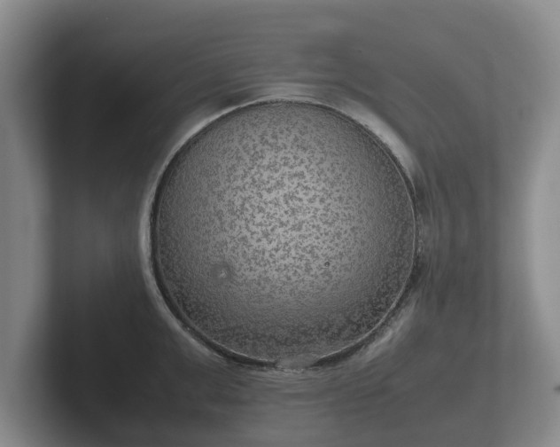 X0000102380999200808081134