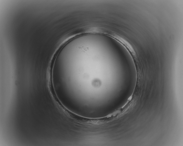 X0000102381000200808081134
