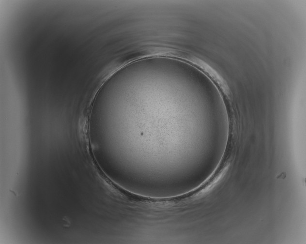 X0000102381001200808081134