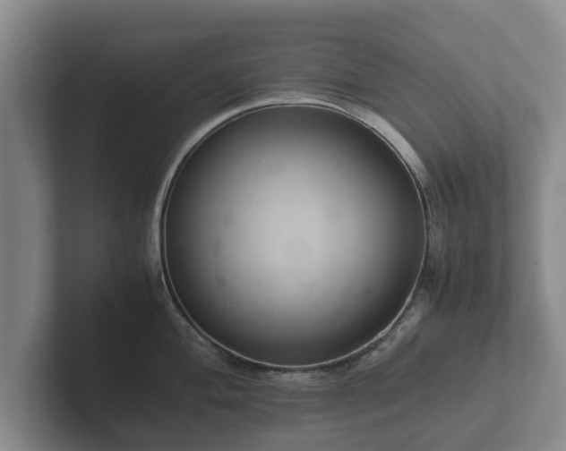X0000102381004200808081134