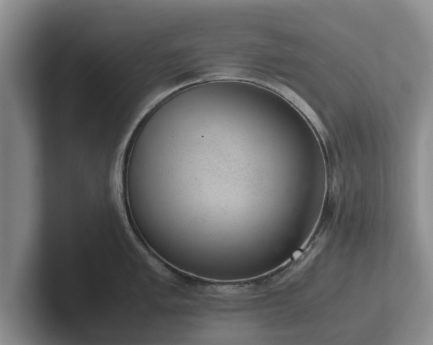 X0000102381005200808081134