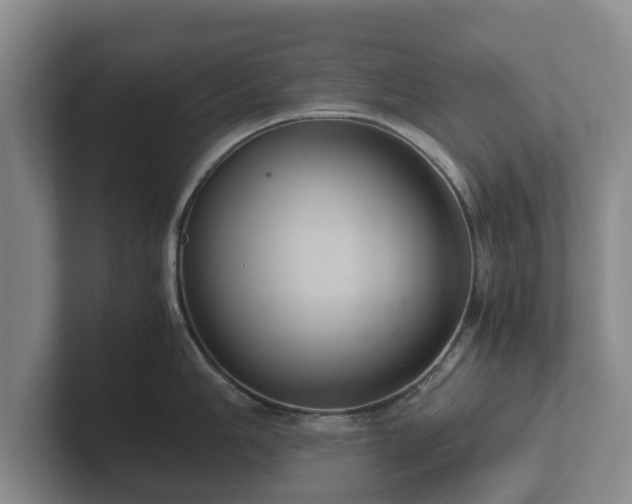 X0000102381006200808081134