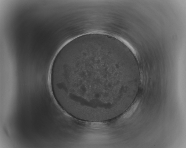 X0000102381007200808081134