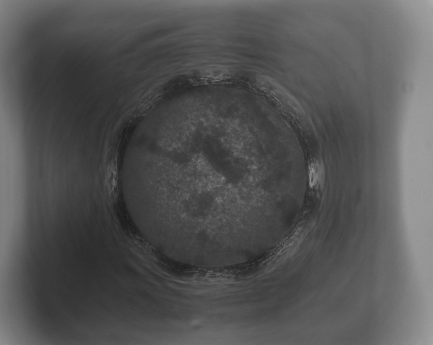 X0000102381011200808081133