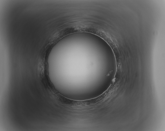 X0000102381012200808081133