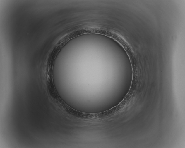 X0000102381016200808081133