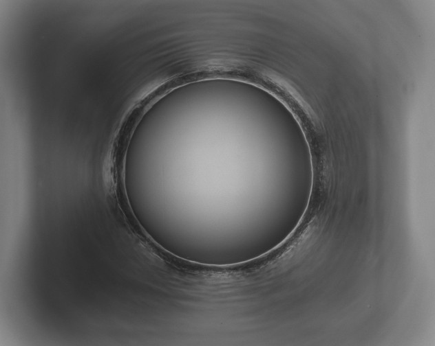 X0000102381018200808081133