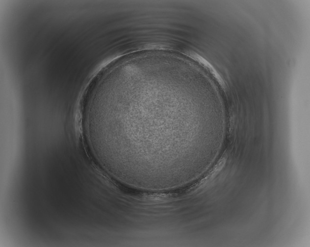 X0000102381019200808081133