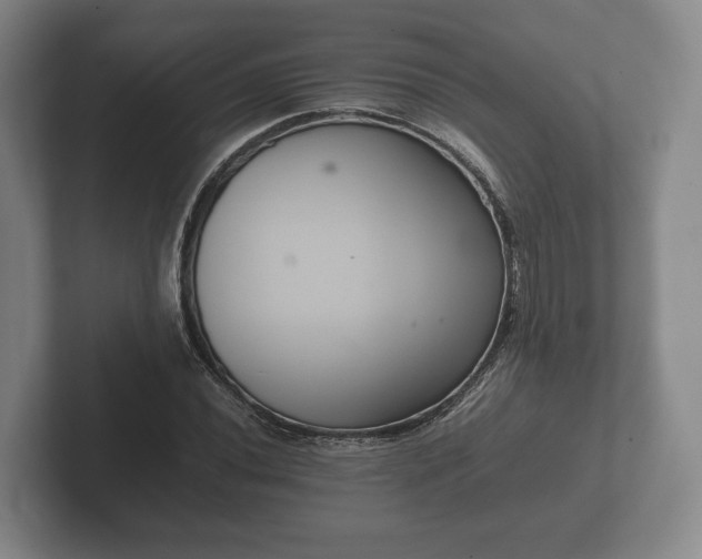 X0000102381020200808081133