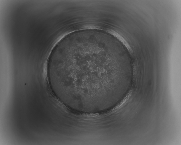 X0000102381023200808081133