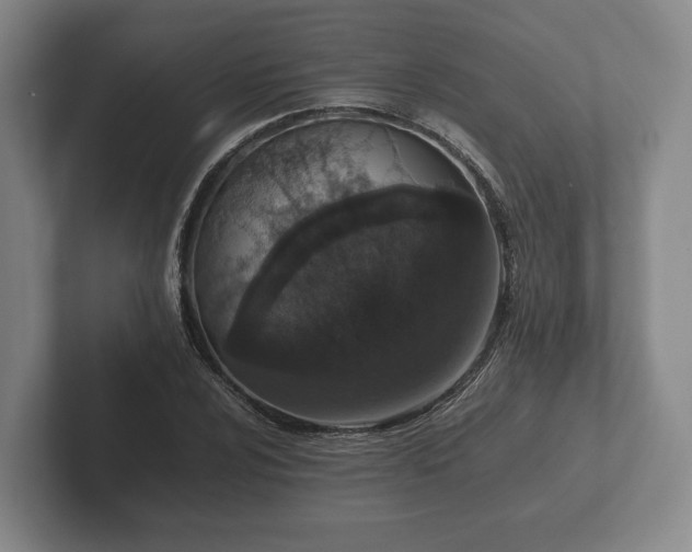 X0000102381024200808081133
