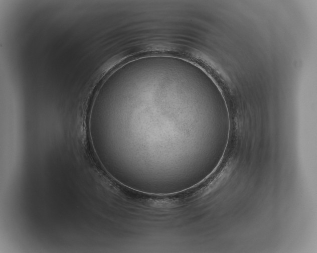 X0000102381025200808081133