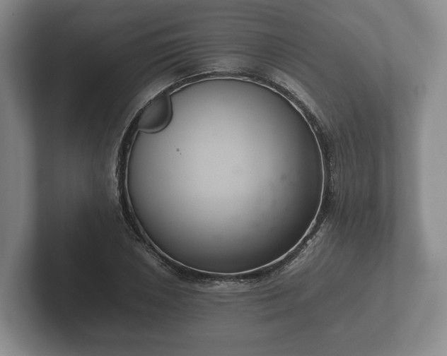 X0000102381026200808081133
