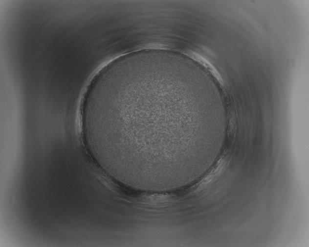 X0000102381027200808081133