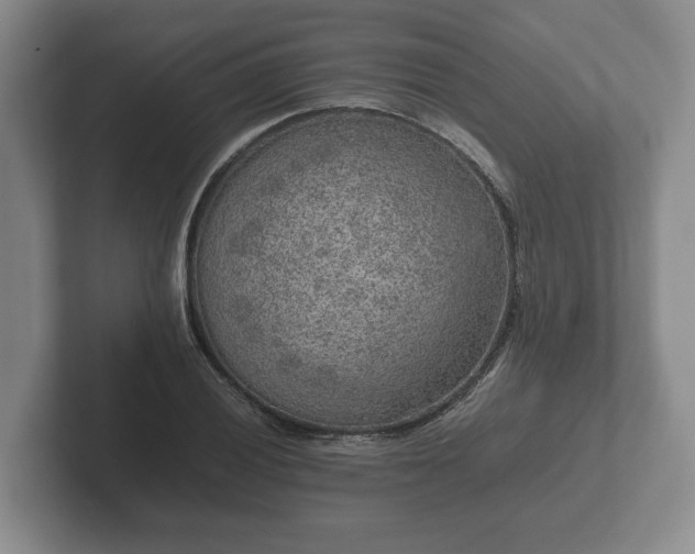 X0000102381028200808081133