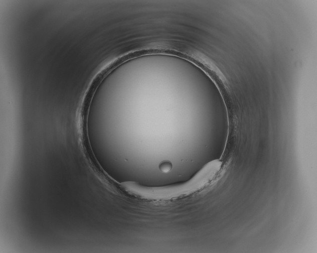 X0000102381029200808081133