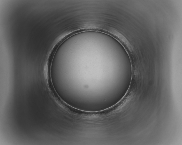 X0000102381030200808081133