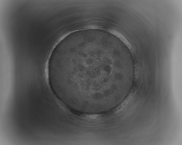X0000102381031200808081133
