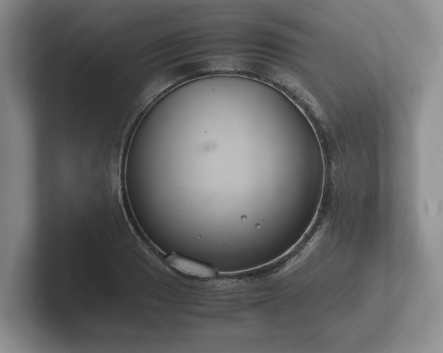 X0000102381033200808081133