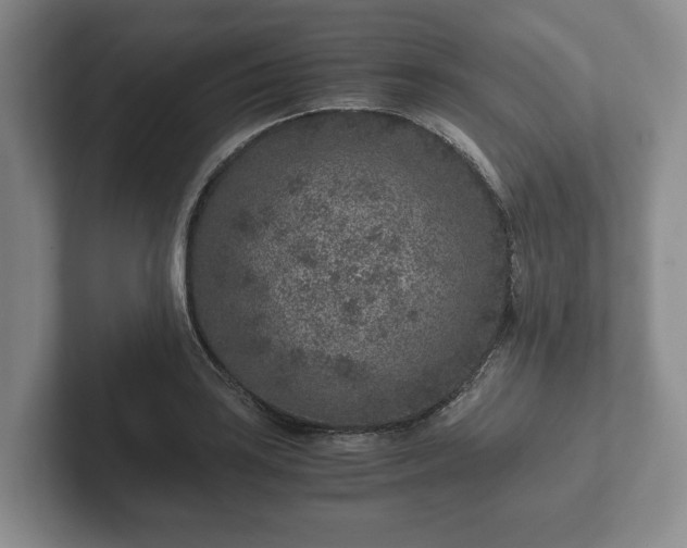 X0000102381035200808081133