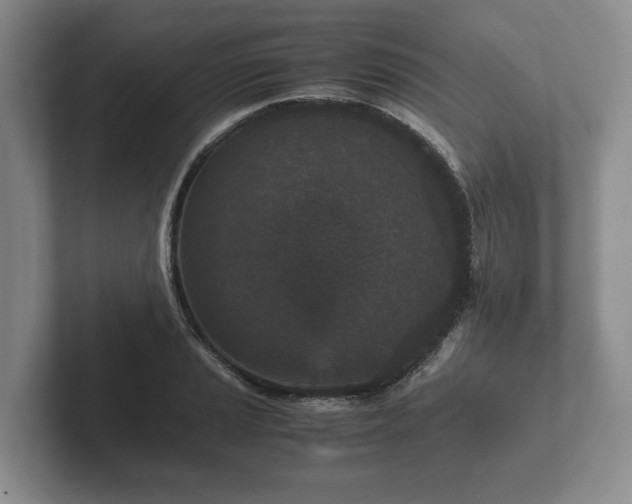 X0000102381037200808081133