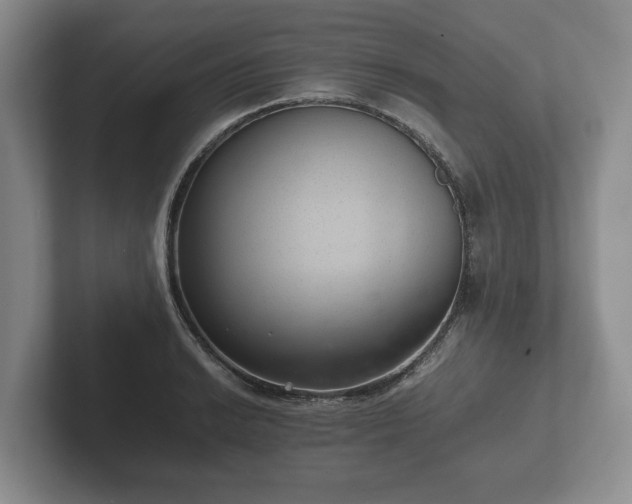 X0000102381038200808081133