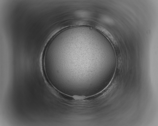X0000102381039200808081133