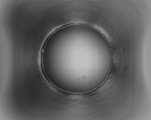 X0000102381040200808081133
