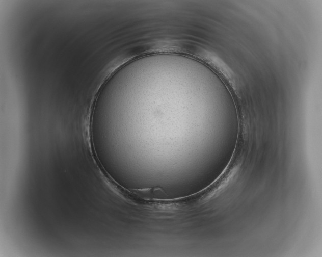 X0000102381041200808081133