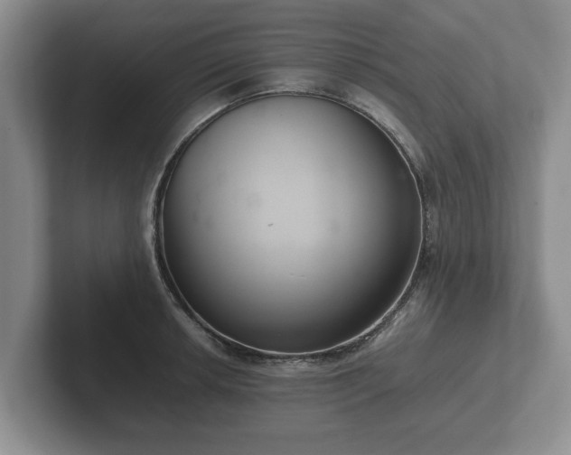 X0000102381042200808081133