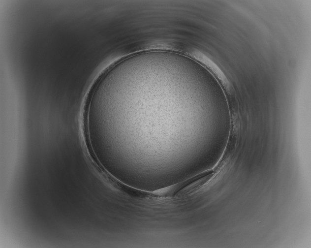 X0000102381043200808081133