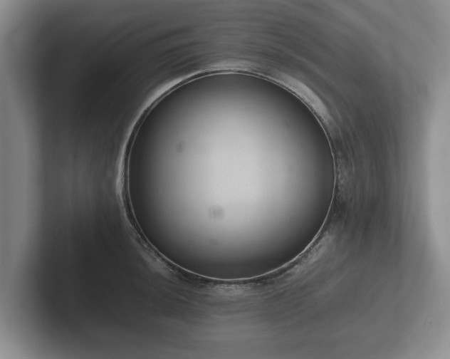 X0000102381044200808081133