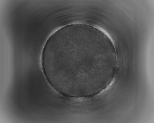X0000102381045200808081133