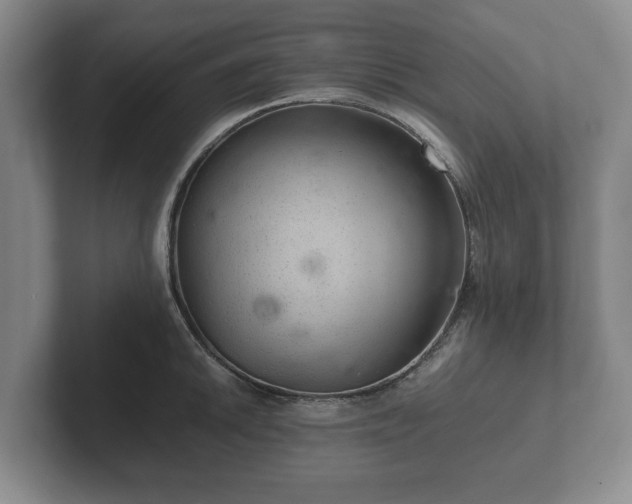 X0000102381046200808081133