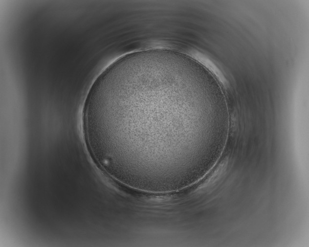 X0000102381047200808081133
