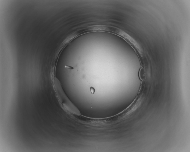 X0000102381049200808081133